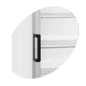 Stakleni zamrzivač s nadstrešnicom - 270 L TEFCOLD: vidljivost, estetika i optimalno očuvanje