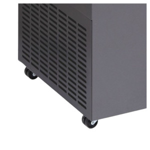 Vitrine za sladoled s poklopcem za posluživanje - TEFCOLD MIRABELLA 6x5L