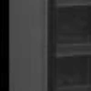 Crni rashladni ormar - Staklena vrata 347L TEFCOLD: Optimalno skladištenje i elegantna prezentacija vaših proizvoda