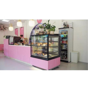 Stakleni rashladni ormar TEFCOLD - Bijeli - 350 L: Optimalno skladištenje za namirnice i vidljivost proizvoda.