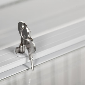 Zamrzivač za sladoled - Klizna vrata - 115 L TEFCOLD: Optimalno čuvanje za vaše sladolede