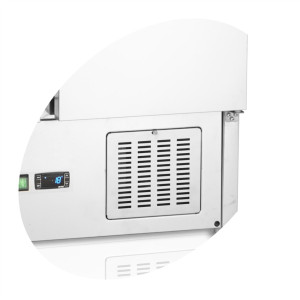 Saladette Hladnjak GN 1/1 Inox - 225 L, 2 Vrata TEFCOLD: Performanse i praktičnost