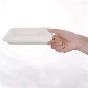 Barquettes kompostabilne od bagasa 340ml - Eko-odgovorno, praktično