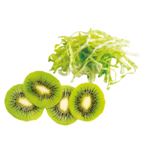 Rezači za Robot-Coupe diskove za R101XL / R201XL / R211XL / R301 / R301Ultra / R 401 / CL20 / R 402 / R402 V.V. / CL 40.