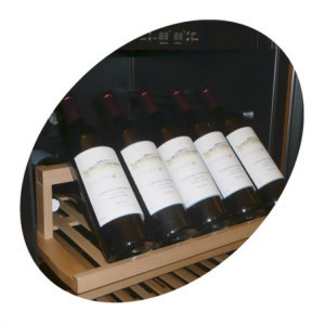 Vinska vitrina TEFCOLD inox - 165 boca - Suvremeni dizajn