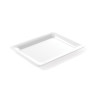 Pladanj Gastronorm s tankim rubom - GN 2/3 - V 20 mm