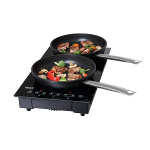 Profesionalna ugradbena indukcijska ploča