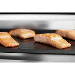 Profesionalni Panini roštilj Panini-T 1G Bartscher - Optimalne performanse za vaše roštiljanje