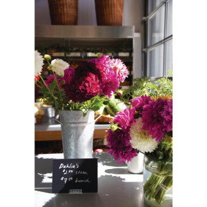 Podloga za postavljanje za male ploče A8 - Set od 10 - Securit - Fourniresto