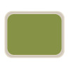 Plateau de Service en Polyester Standard 470x360mm Vert - Roltex - Fourniresto
