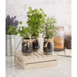 Boca za konzerve s navojnim poklopcem - 500 ml - FourniResto - Fourniresto