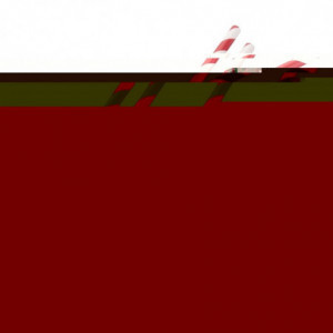 Slamke od kompostabilnog papira crveno-bijele boje 210mm - Paket od 250 - Fiesta Green - Fourniresto