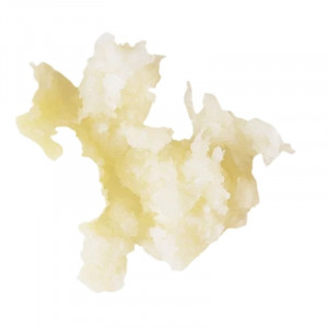 Rendalica hrena 1 mm - Robot-Coupe